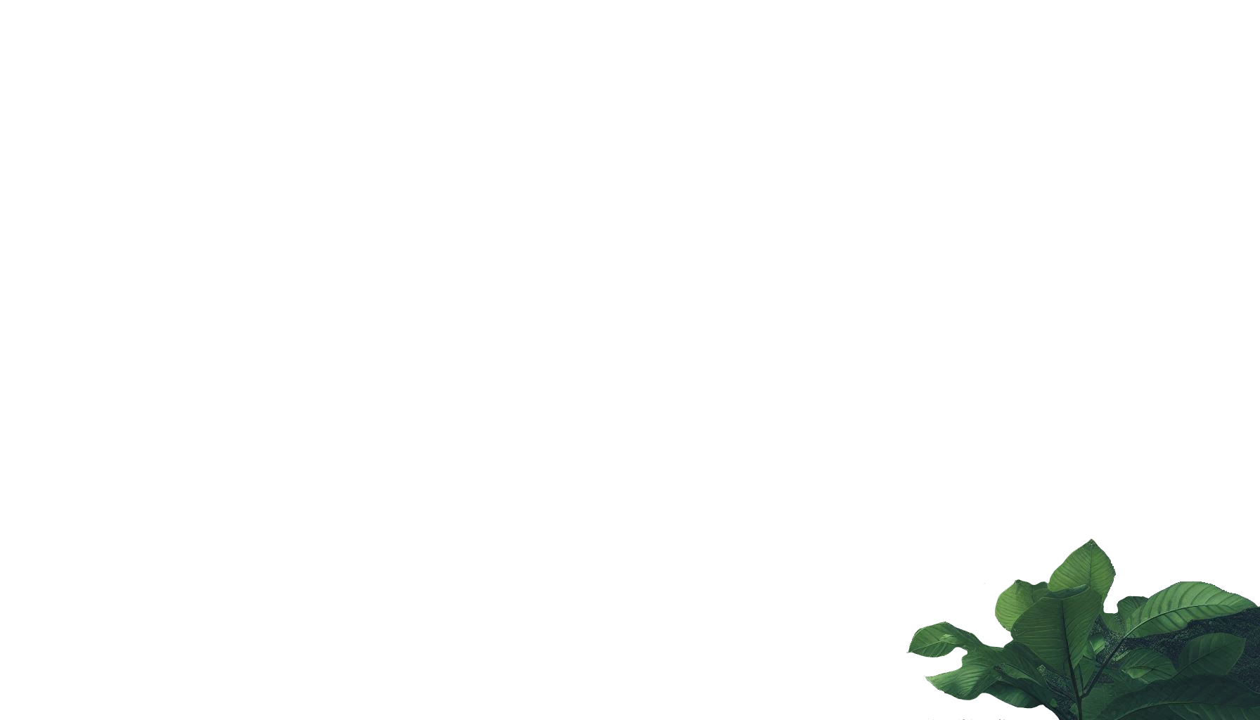 leaf
