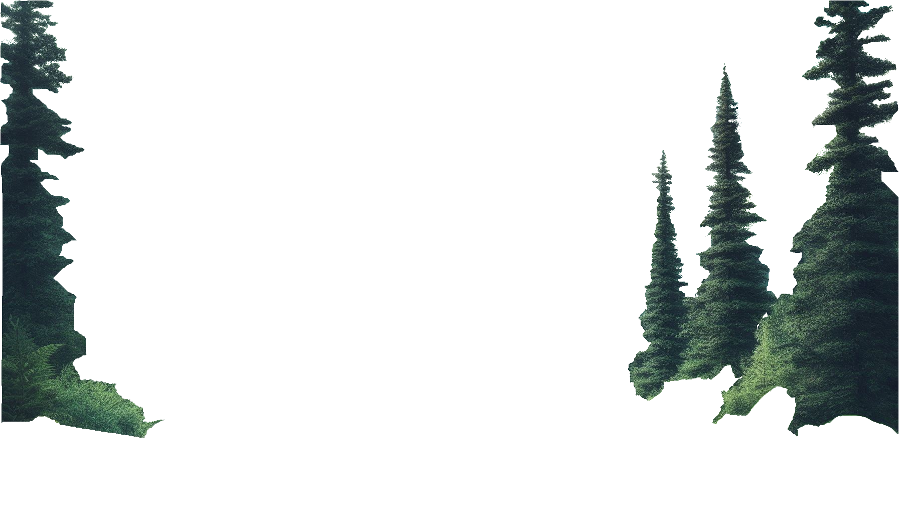 trees